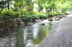「小松川境川親水公園」の水辺