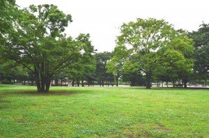 「新小岩公園」