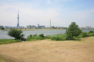 葛飾あらかわ水辺公園