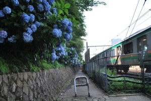 飛鳥山公園