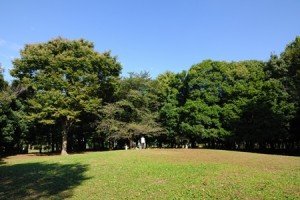 北区中央公園