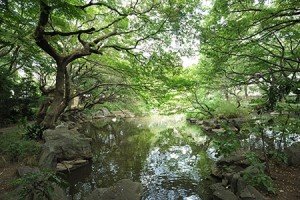 名主の滝公園