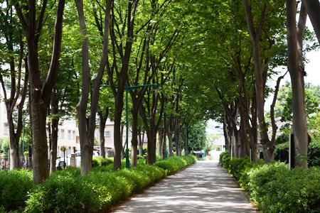 下河原緑道