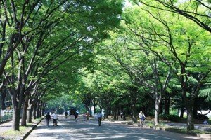 駒沢オリンピック公園