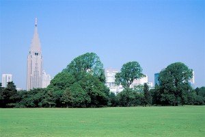 夏のイギリス風景式庭園