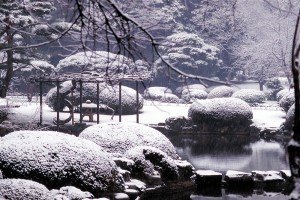 雪の日本庭園