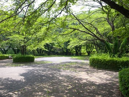 聖蹟桜ヶ丘の“この街ならでは”の魅力を発見！