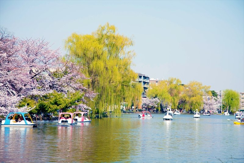 石神井公園