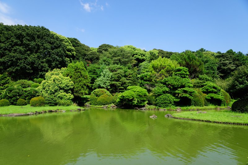 豊かな緑が美しい「小石川植物園」