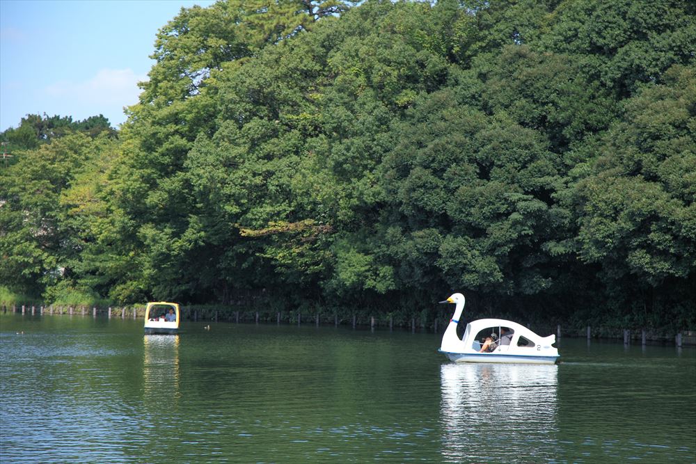 ボート遊びを楽しめる「洗足池公園」