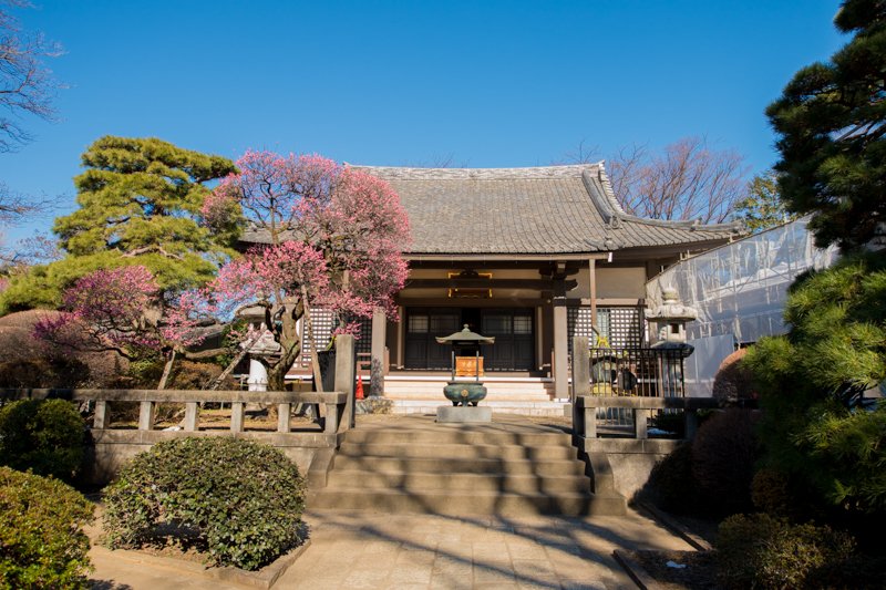 江戸時代から信仰を集めていた「浄光院 森厳寺」