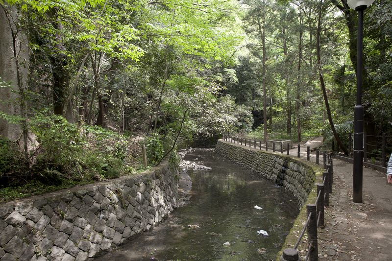 等々力渓谷公園