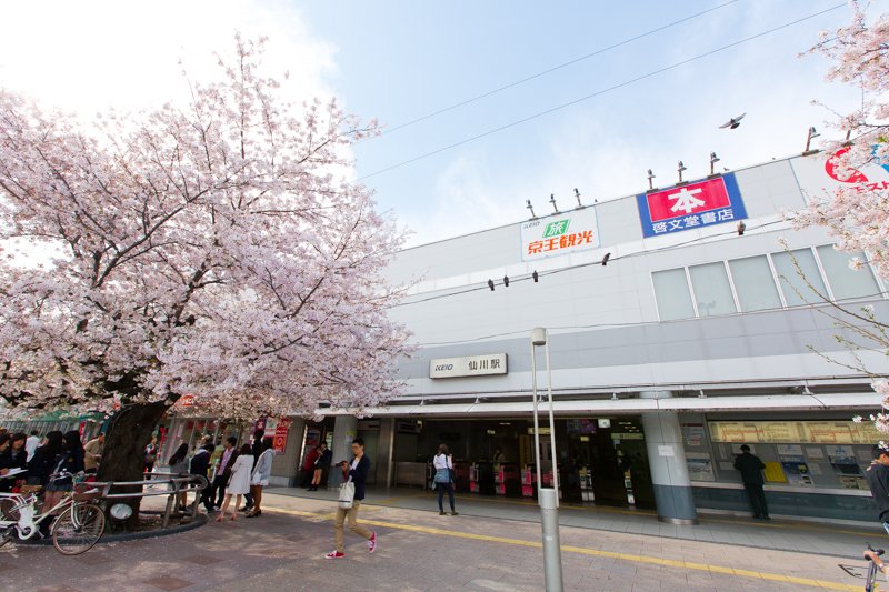 「仙川」駅