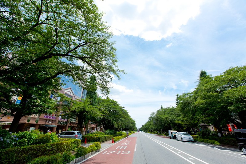 学園都市のシンボルとして整備された「大学通り」