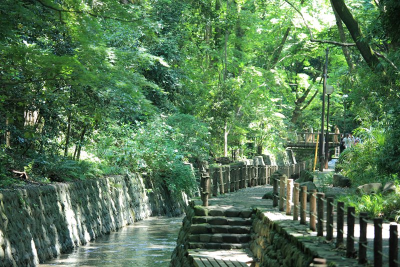 「等々力渓谷公園」