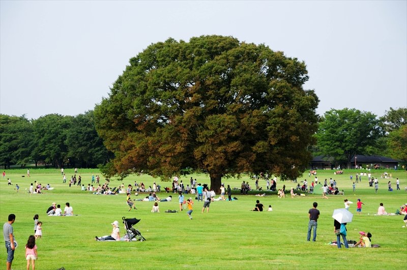 国営昭和記念公園