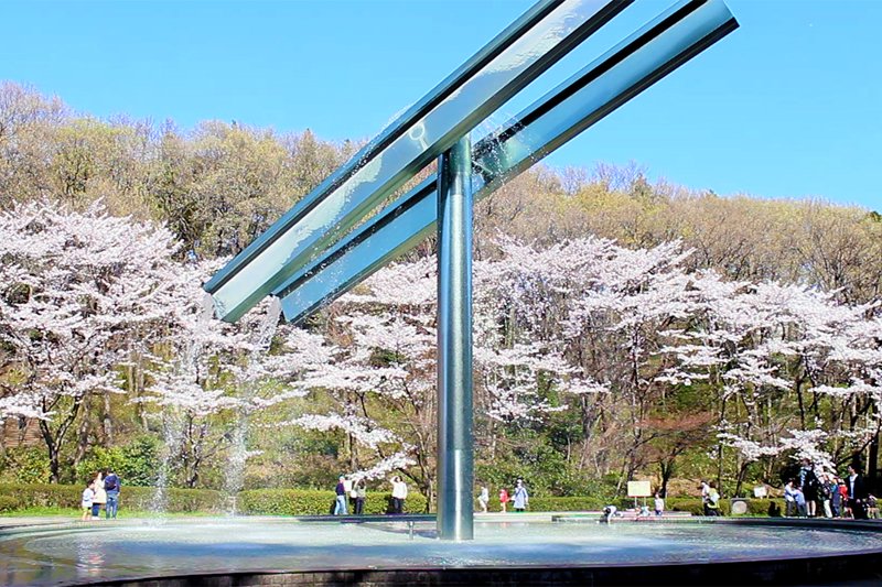 春には桜も楽しめる「芹ヶ谷公園」