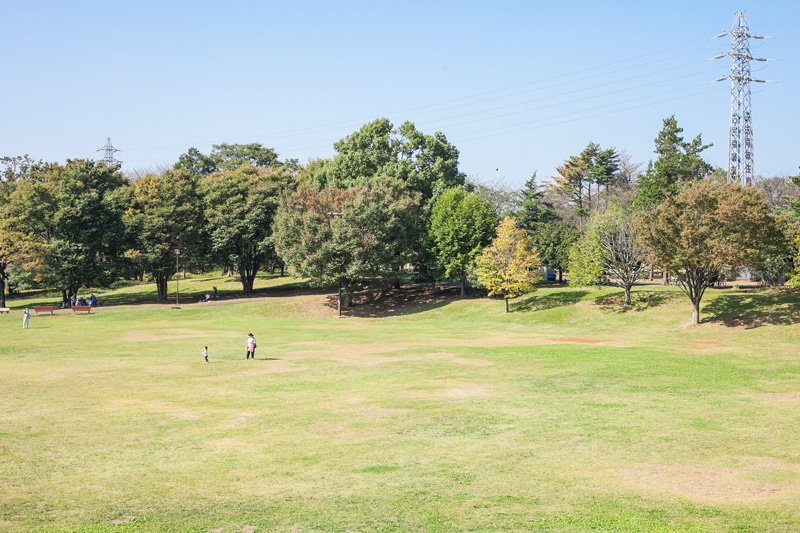 バーベキューも楽しめる「和光樹林公園」