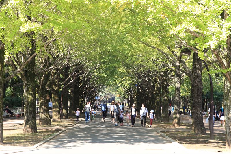 「石神井公園」駅と、練馬区三原台・谷原周辺の生活&子育て環境を調べてきました！				