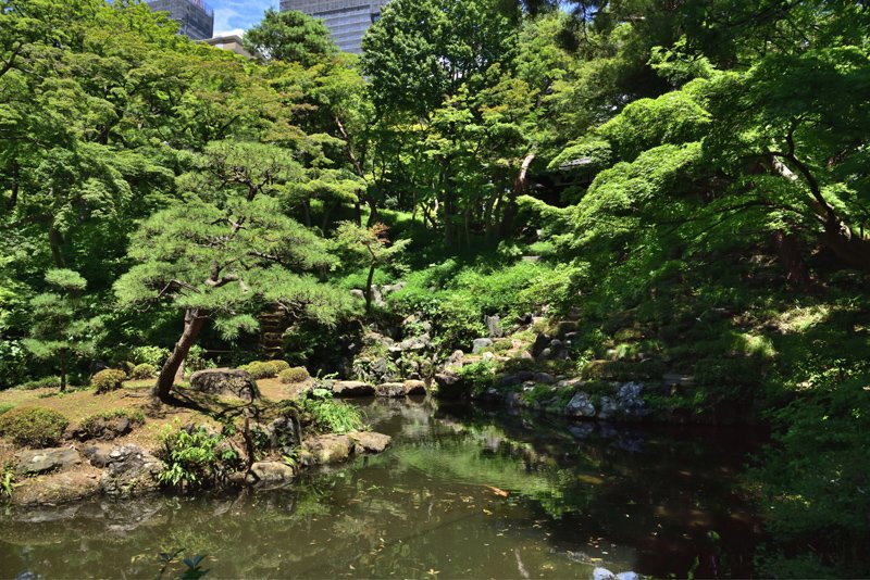美しい庭園が楽しめる「東京都立殿ヶ谷戸庭園」