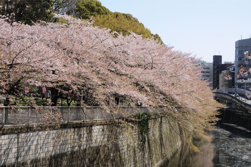 江戸川公園 東京都