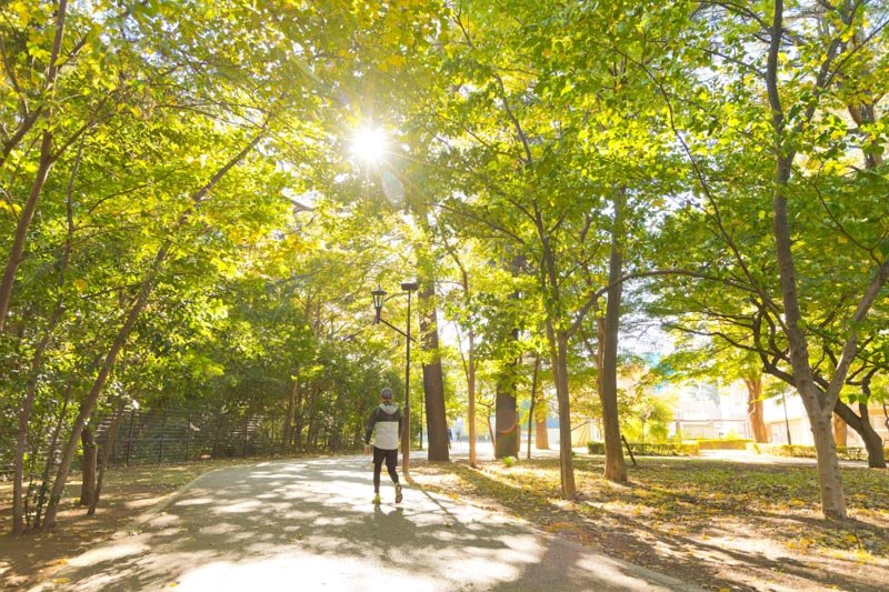 散策やジョギングを楽しむ人が絶えない「江古田の森公園」