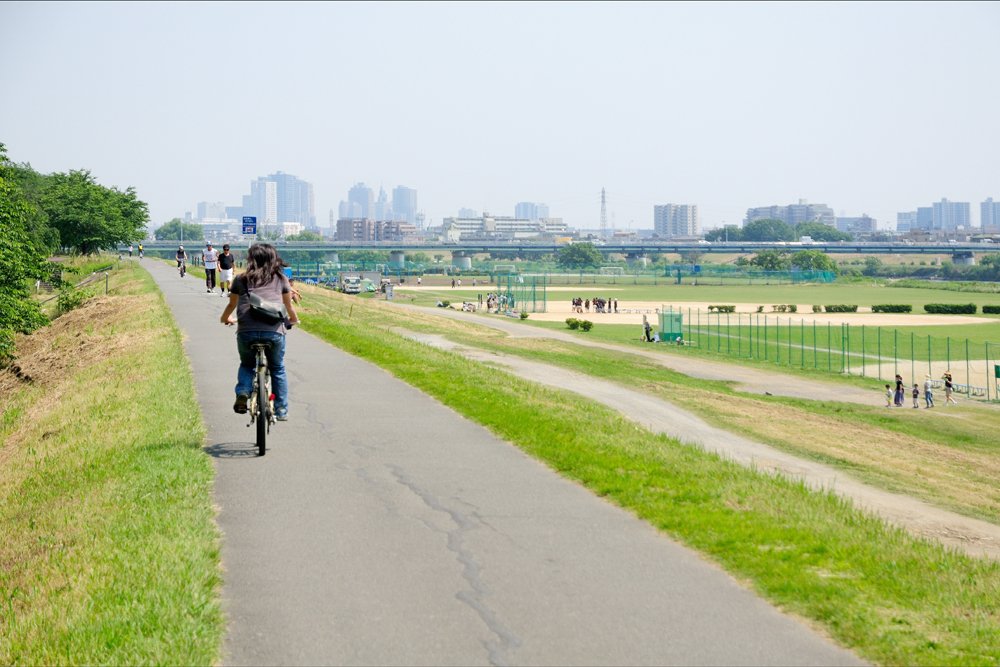 多摩川サイクリングコース（鵜の木付近）