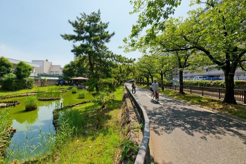 緑の中を散策できる「仙台堀川公園」