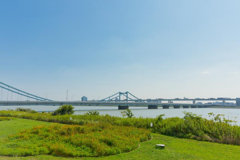 夏には花火を楽しめる「荒川・砂町水辺公園」