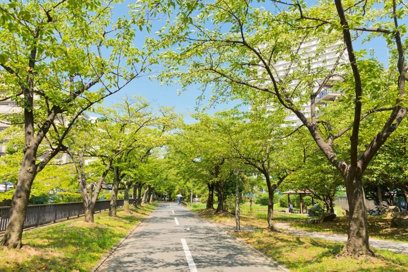 「仙台堀川公園」