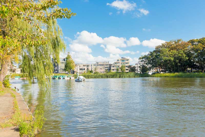 池の周囲に緑が広がる「都立石神井公園」