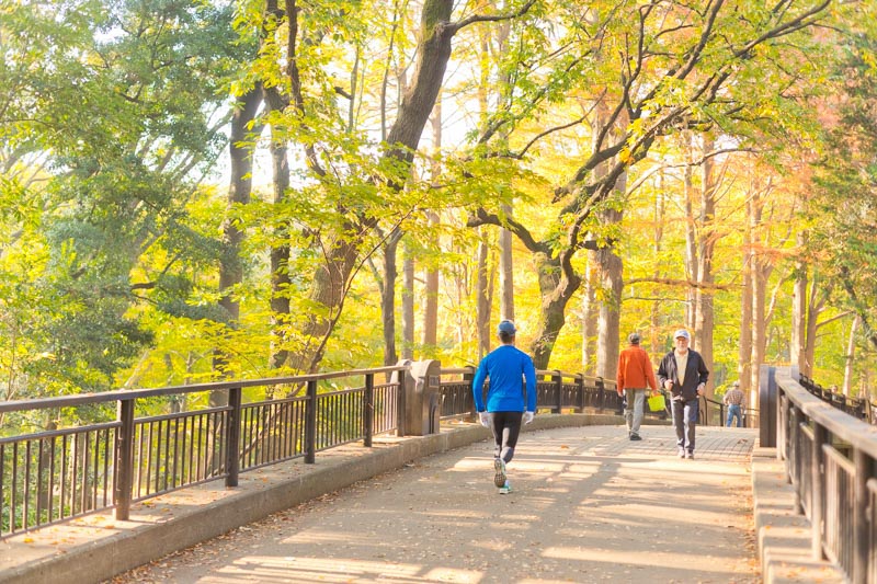 「林試の森公園」はリフレッシュにうってつけだ