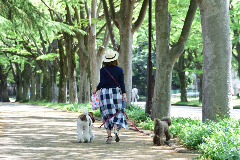 駒沢オリンピック公園