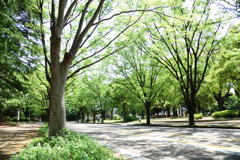 駒沢オリンピック公園