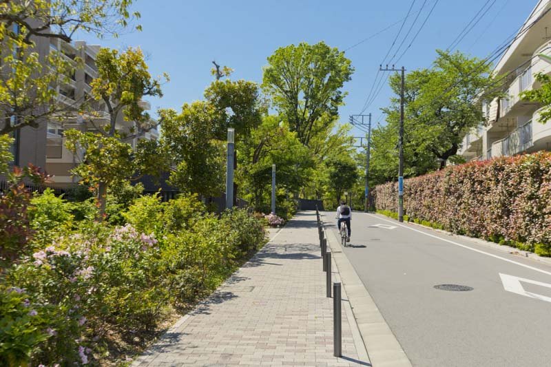 街は自転車での移動も便利