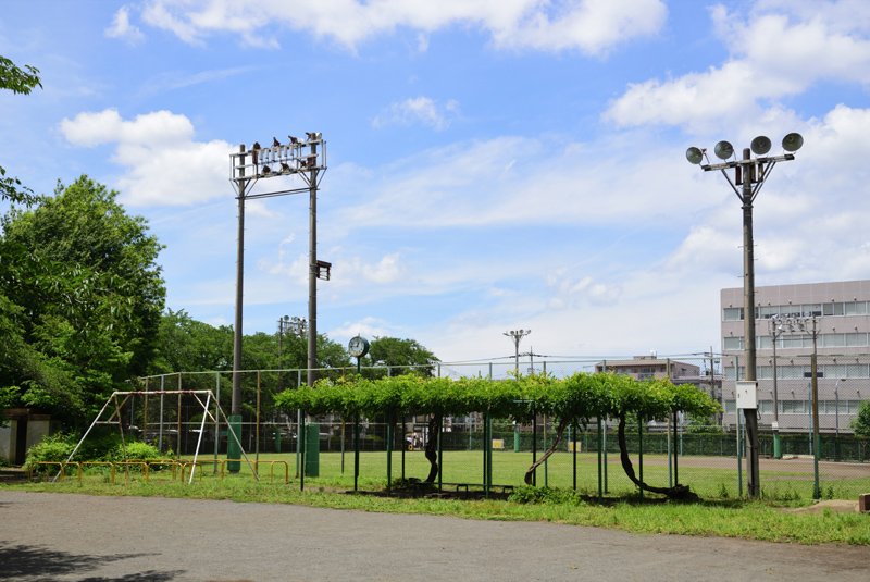 泉町野球場