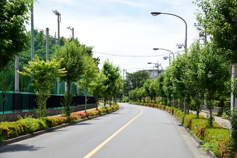 柏町の街並み