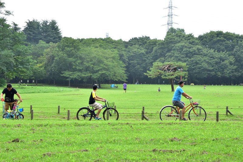 「都立小金井公園」でのサイクリングの光景