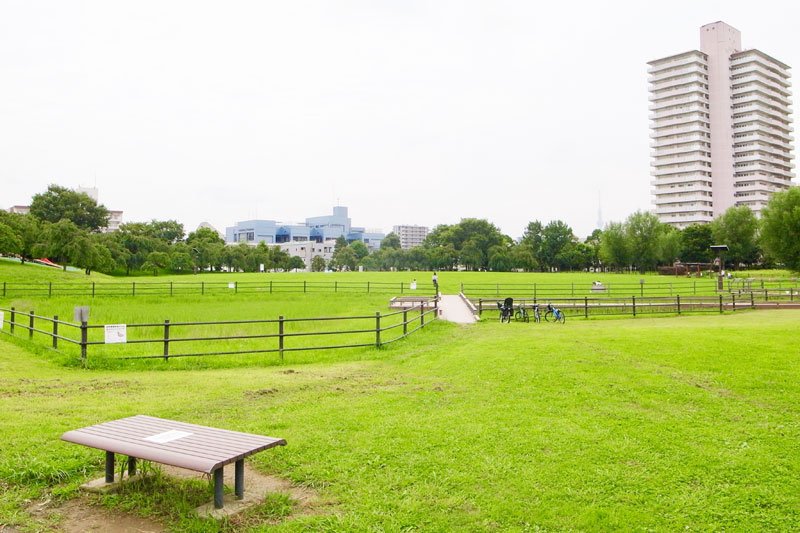 「尾久の原公園」の芝生広場
