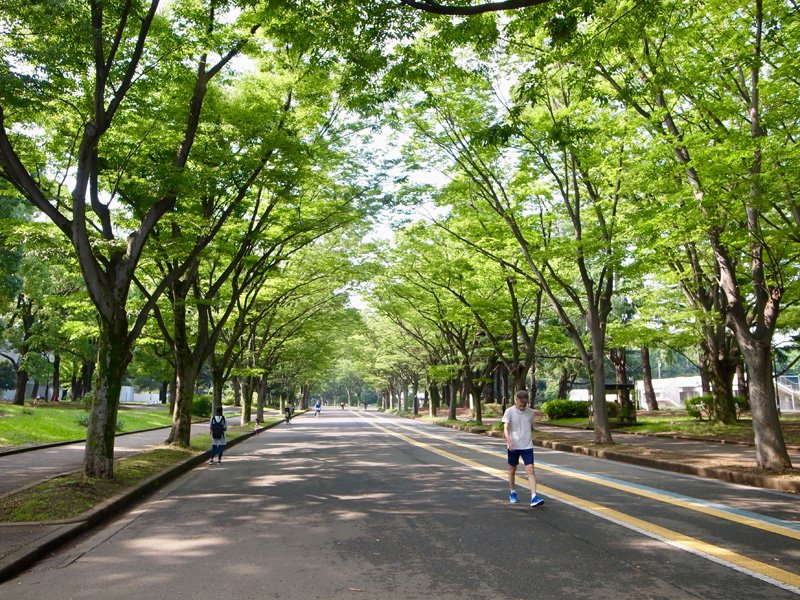 自然豊かなで広大な「駒沢オリンピック公園」