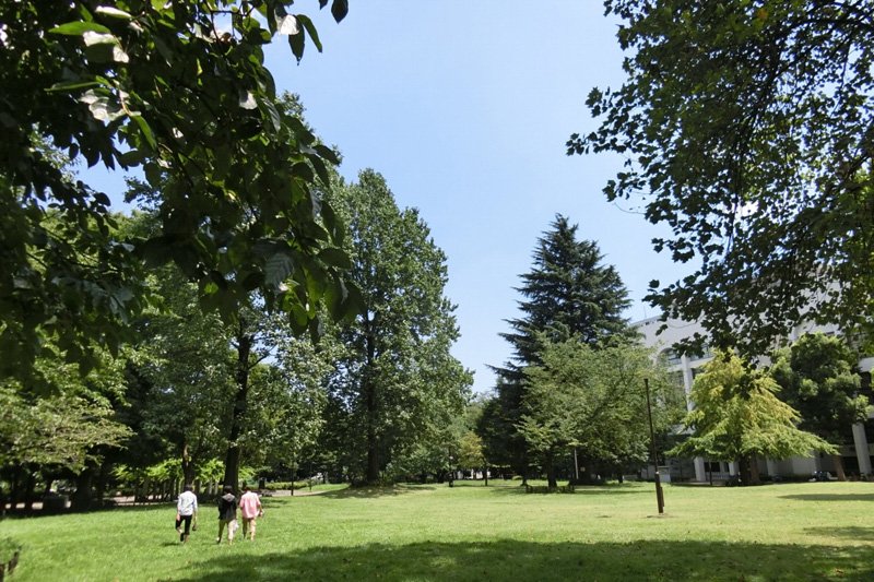 「戸山公園」の芝生広場