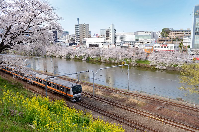 お散歩の場所は東京都心、都市の利便性と穏やかな住環境を享受できる街