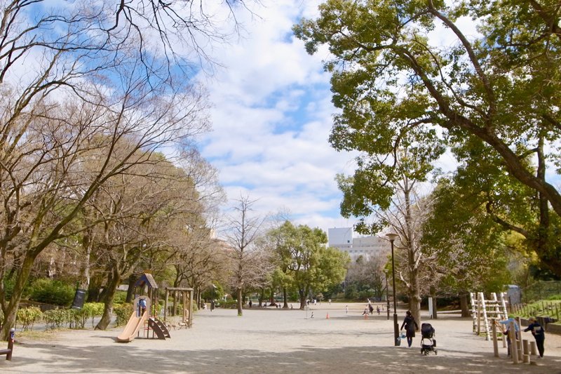 緑豊かな「戸山公園」