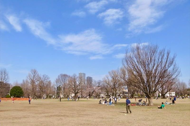 「武蔵国分寺公園」の芝生広場