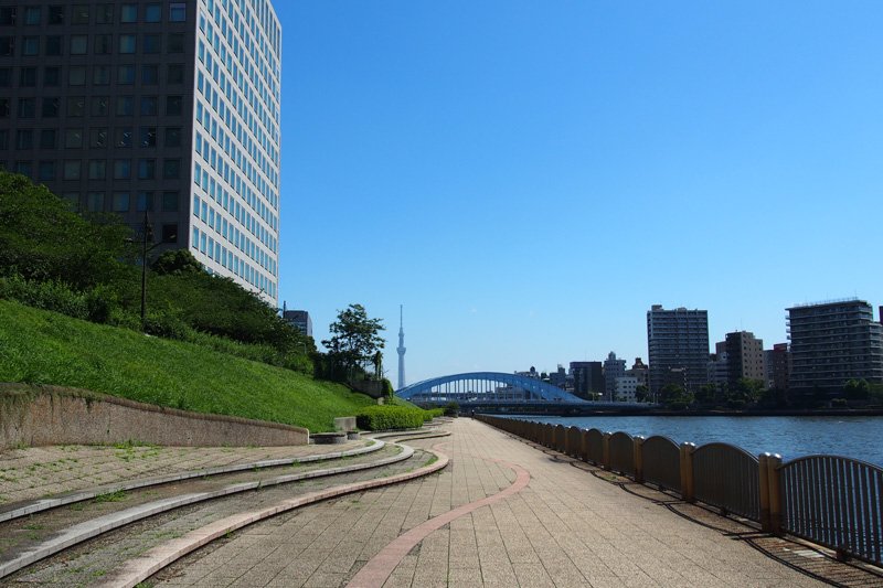 永代橋の向こうには東京スカイツリーが見える