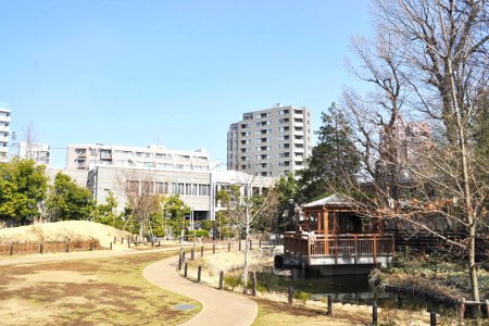 「読書の森公園」