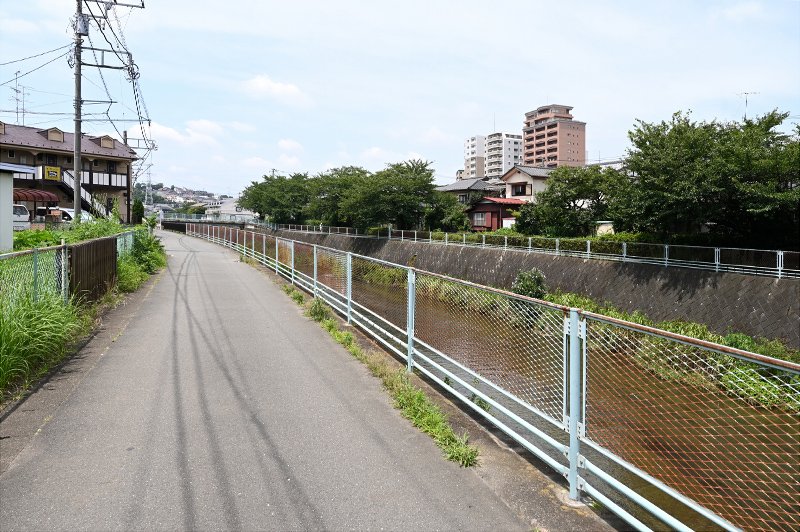 「鶴見川」沿いの道