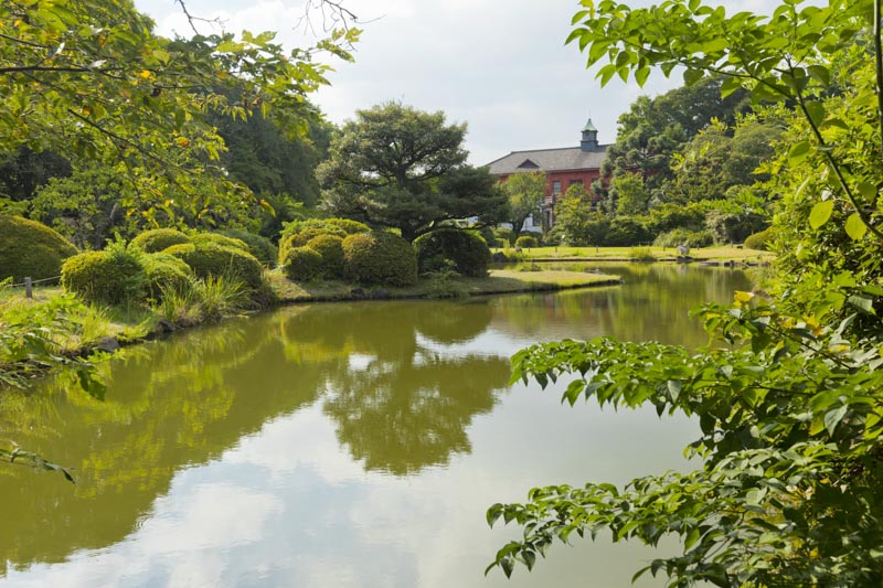 豊かな緑が広がる「小石川植物園」