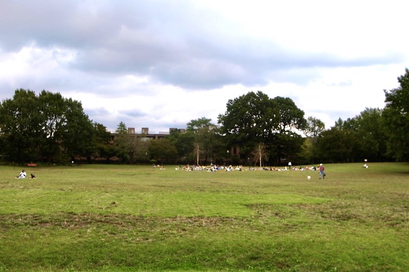 区内最大規模の「柏の宮公園」の開放的な草地広場