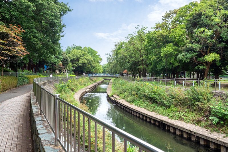 善福寺川沿いの風景